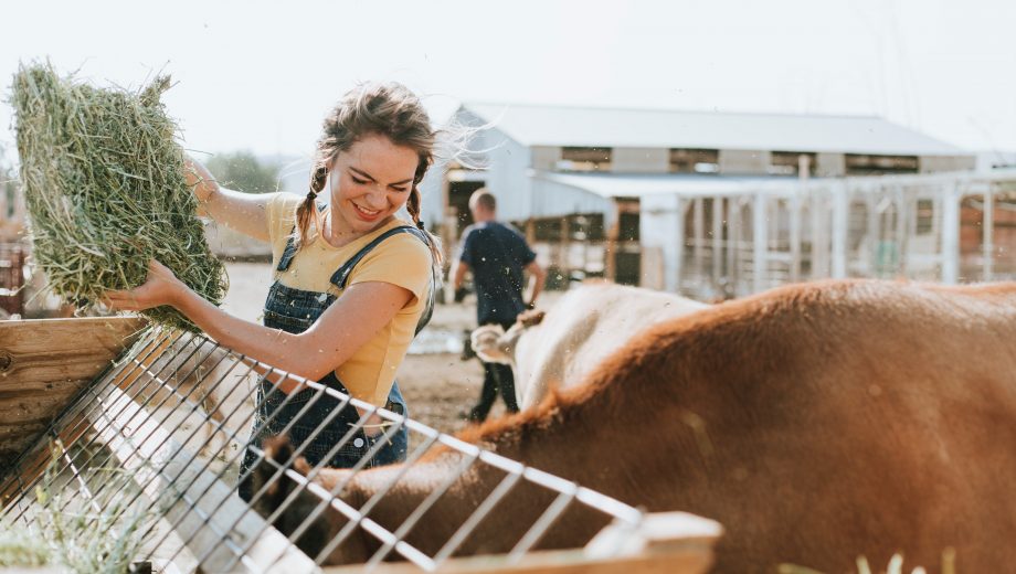 Farmer